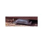 ESCO 13 Ton Air Bag Jack Kit - Image 6